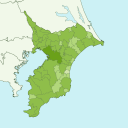 Chiba - kiwi