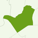 Yodogawa - kiwi