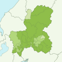 Gifu - kiwi