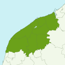 Niigata - kiwi