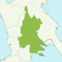 沖縄市 - kiwi