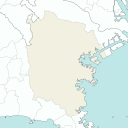 Yokohama - mint