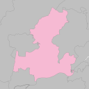 Minokamo - plum