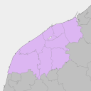 Niigata - plum