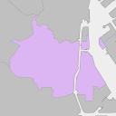 Shinagawa - plum