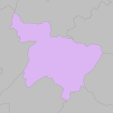 Shinjuku - plum