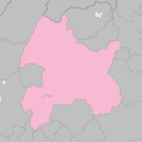 Nagano - plum