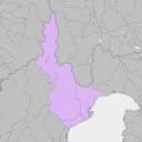 Shizuoka - plum