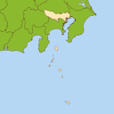 東京都 - wood