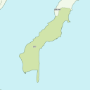 泊村 - kiwi
