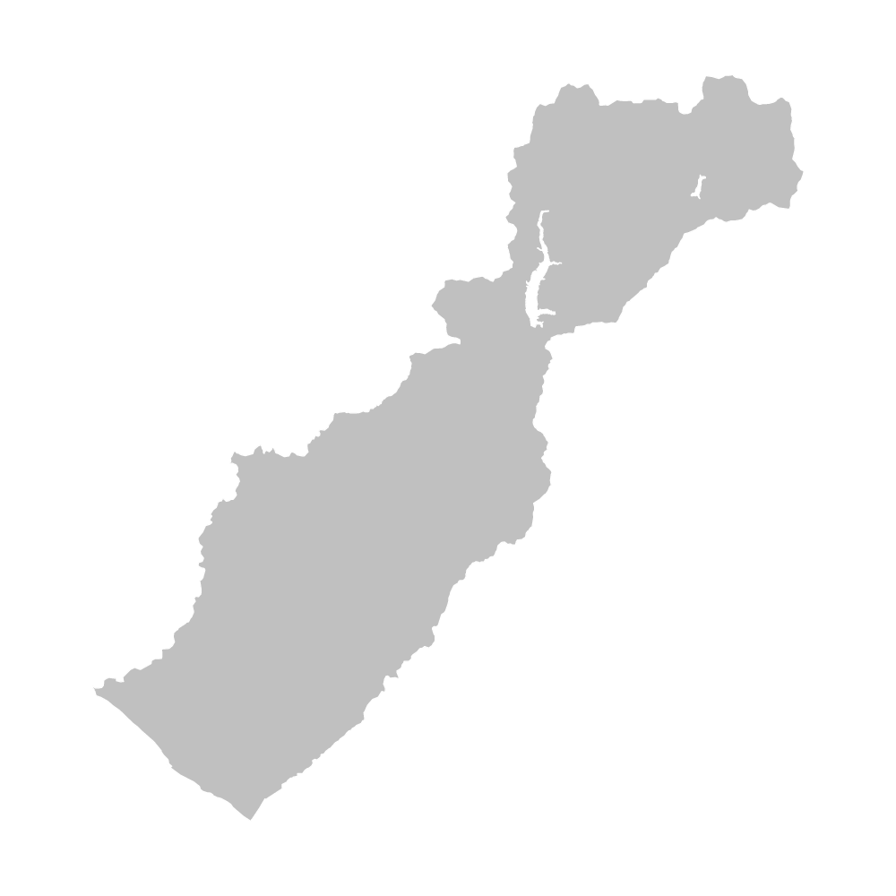 新冠町