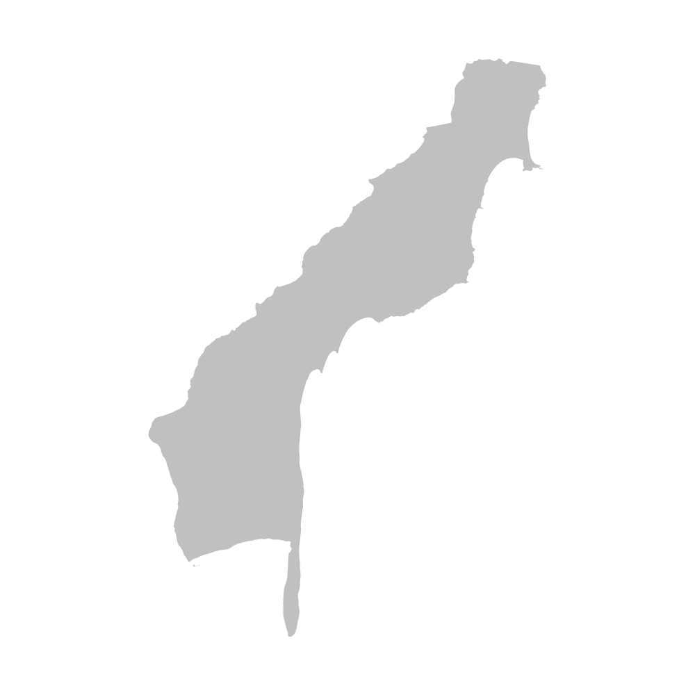 泊村