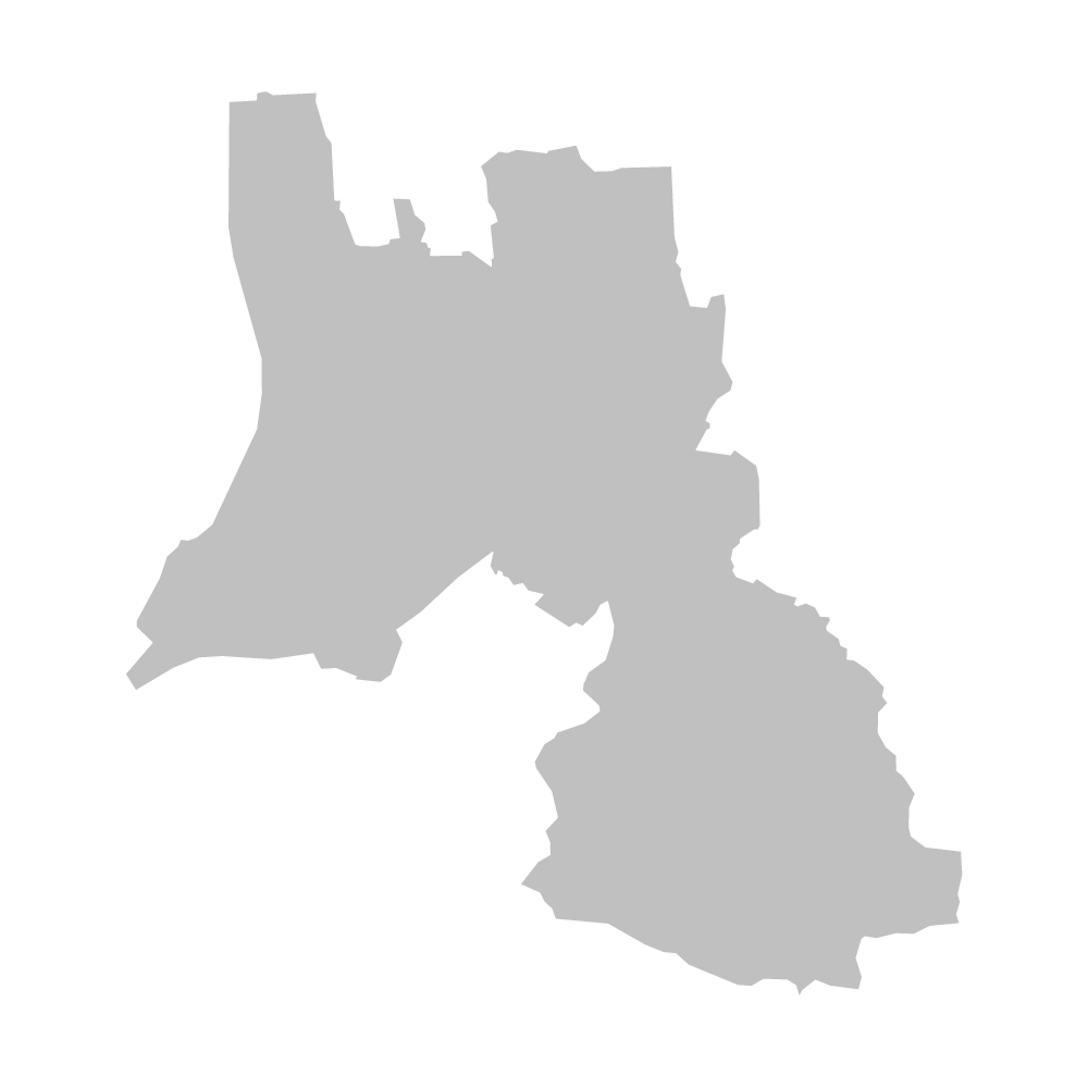 中央市