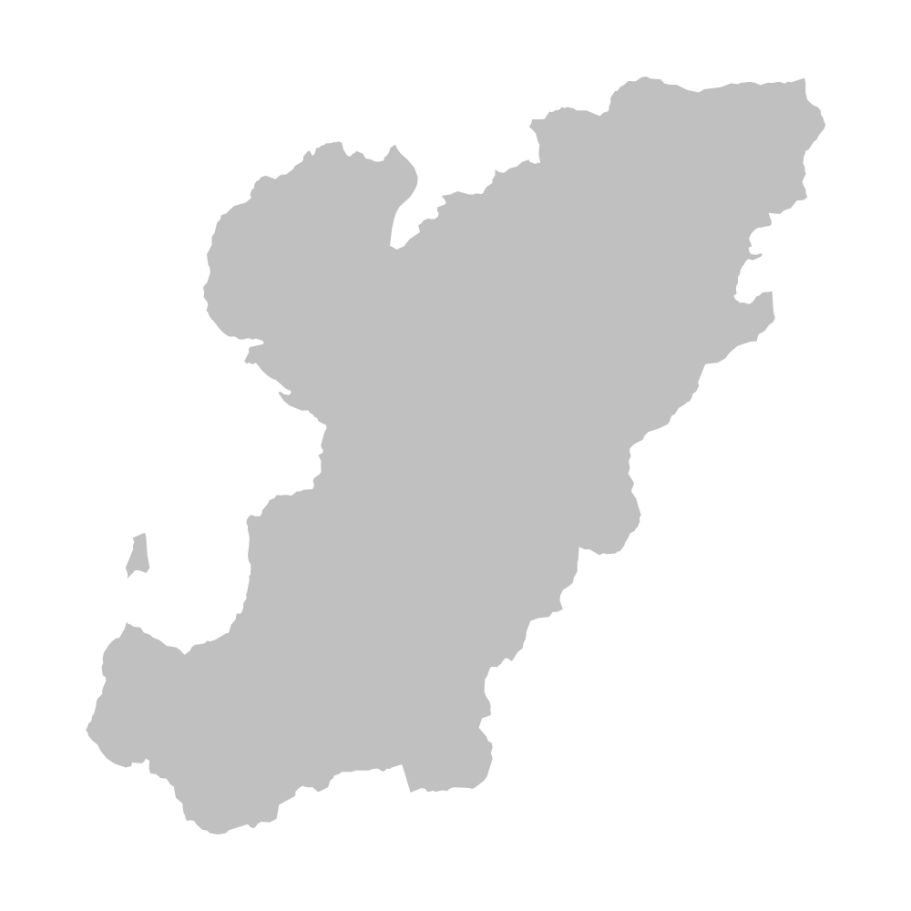 身延町