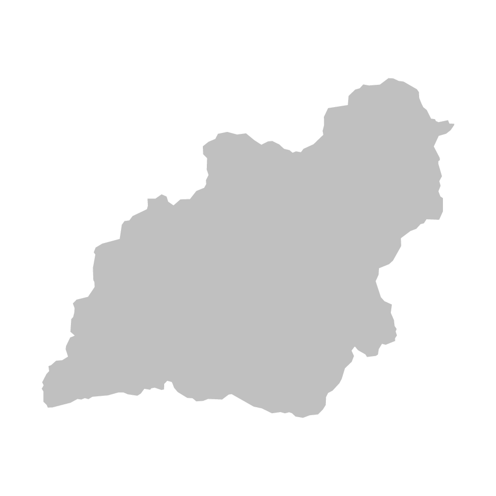 佐那河内村