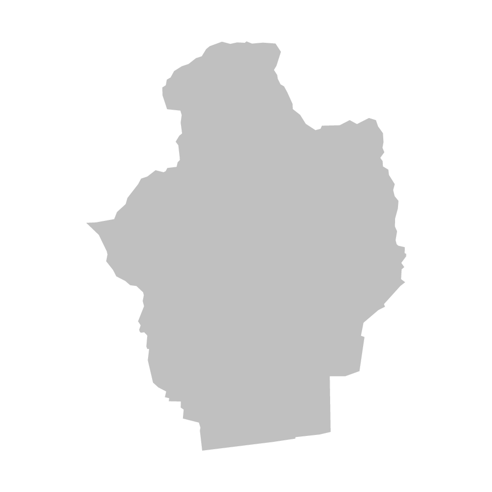 板野町