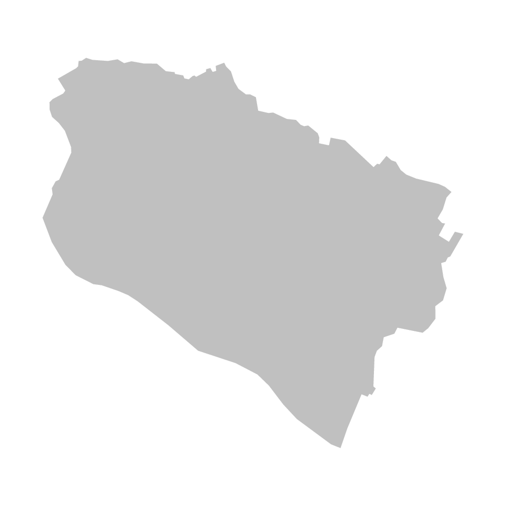 守谷市