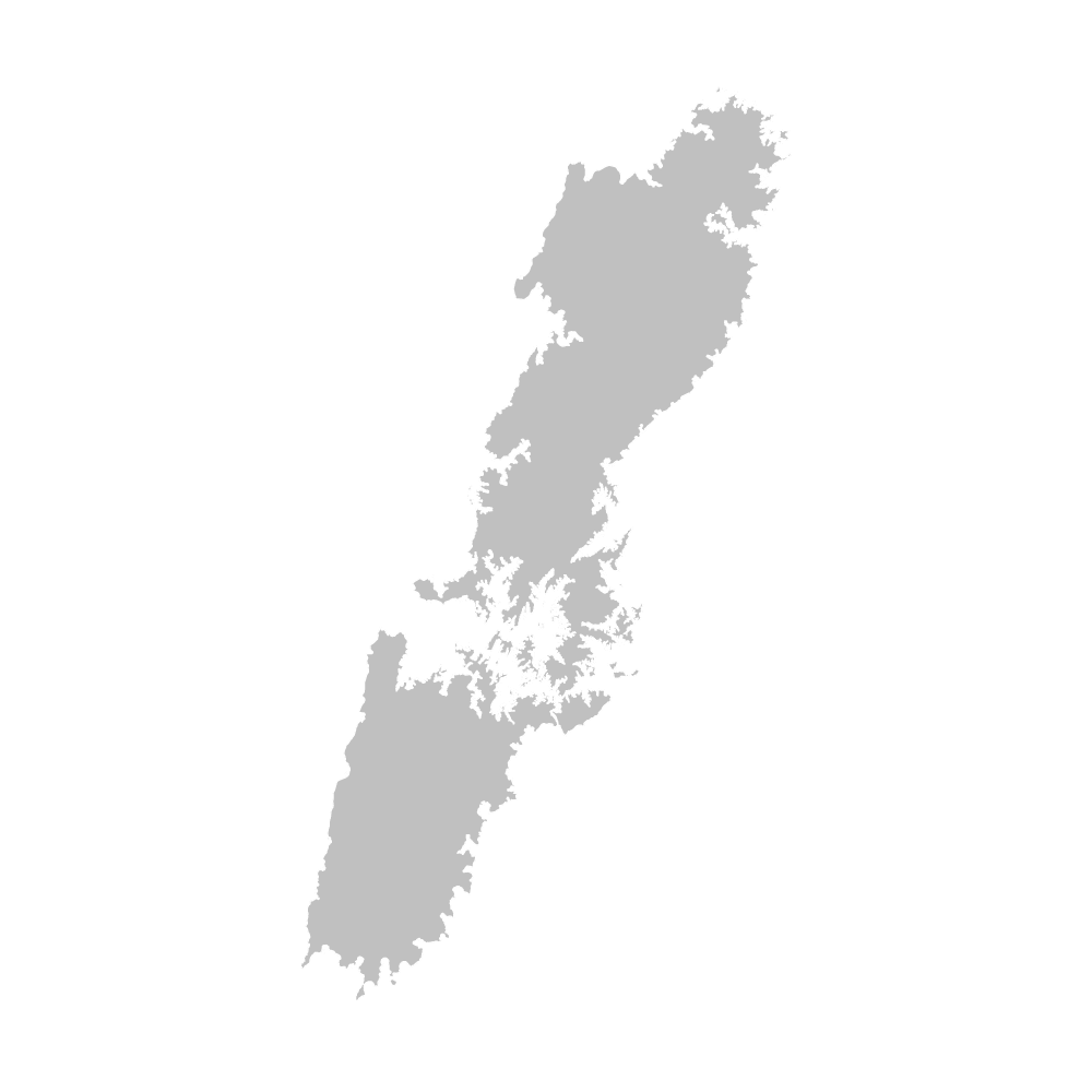 対馬市
