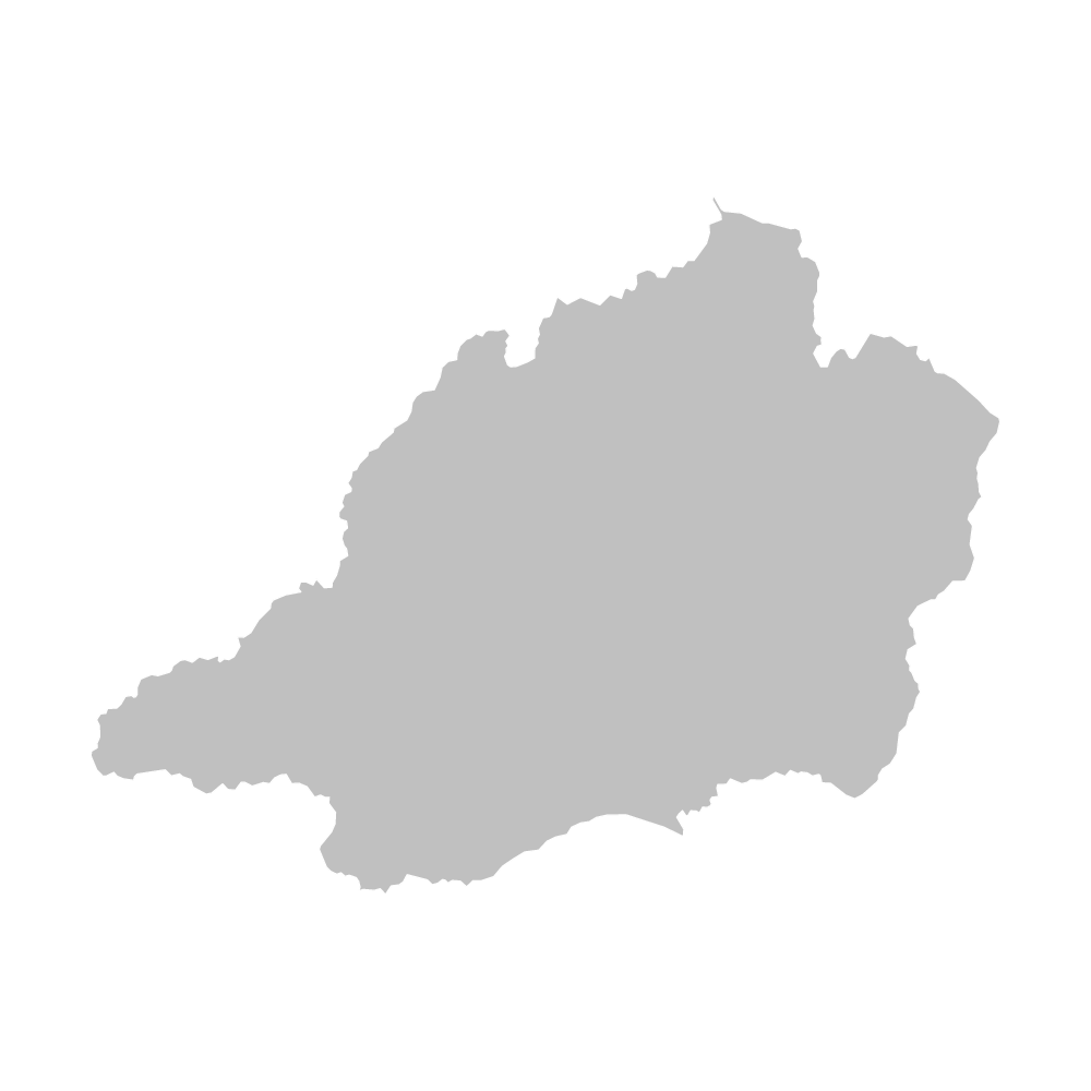 天龍村