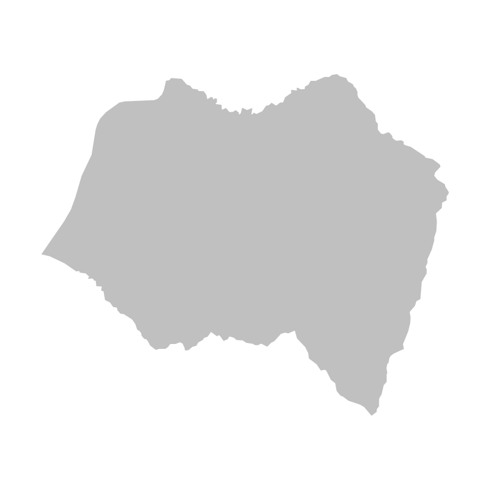 豊丘村