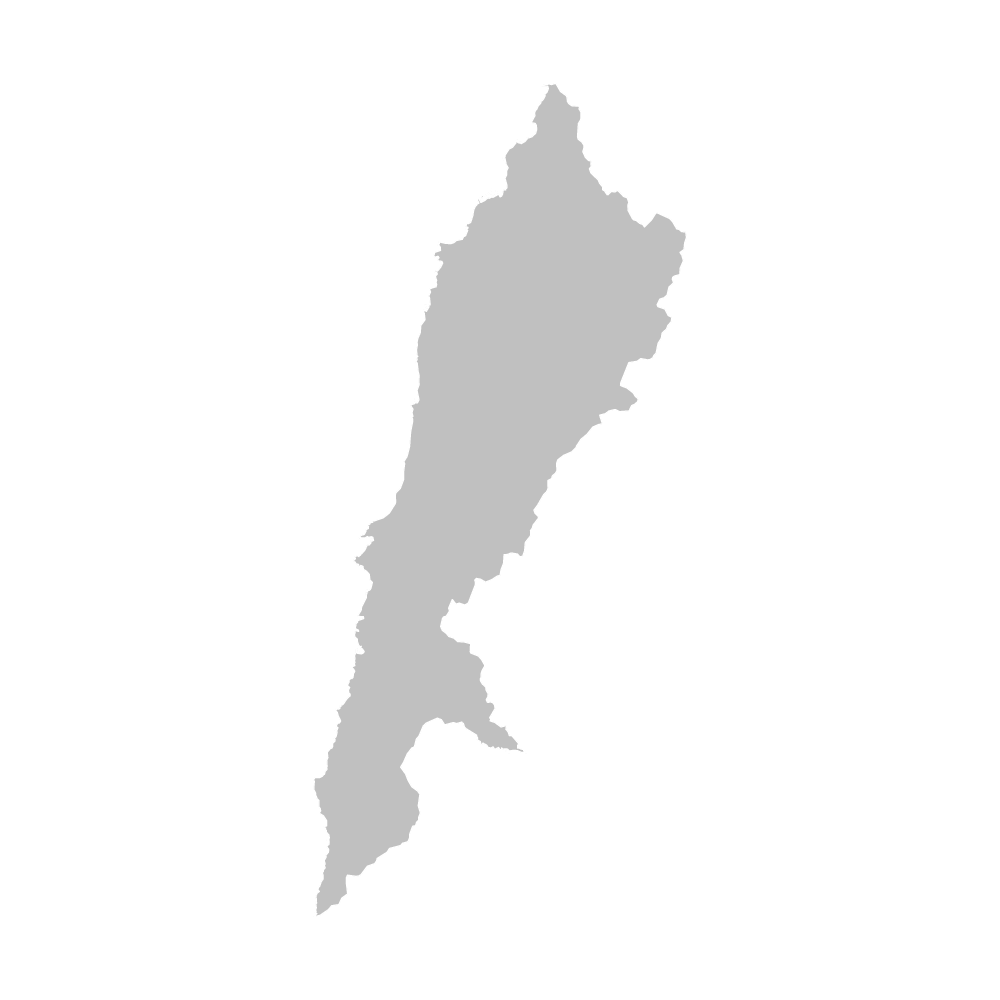 佐井村