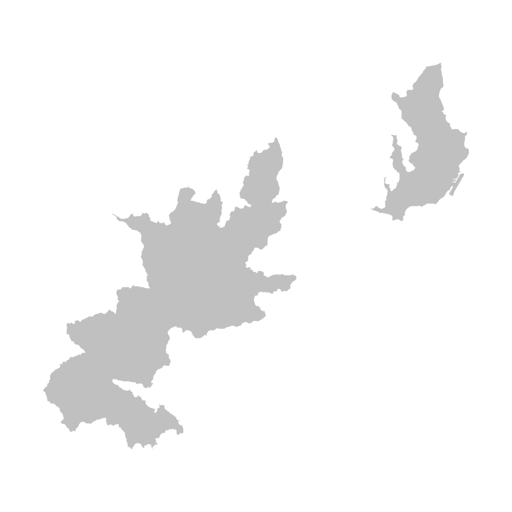 奄美市