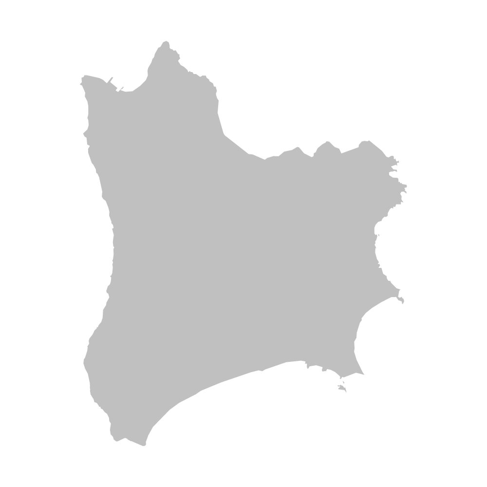 南種子町
