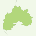 Taishi - kiwi