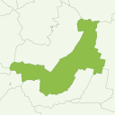 Obihiro - kiwi