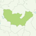 Ashoro - kiwi