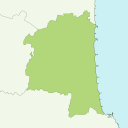 Ichinomiya - kiwi