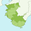 Wakayama - kiwi