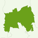 Omiya - kiwi