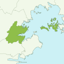 Shiogama - kiwi