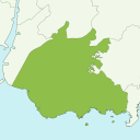 Nishio - kiwi