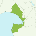 Numazu - kiwi