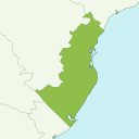 Yaizu - kiwi