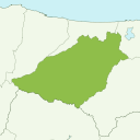 Kurayoshi - kiwi