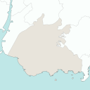 Nishio - mint