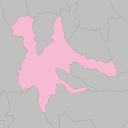 Asahikawa - plum