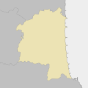 Ichinomiya - plum