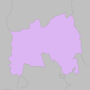Omiya - plum
