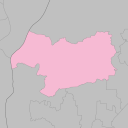 Inazawa - plum