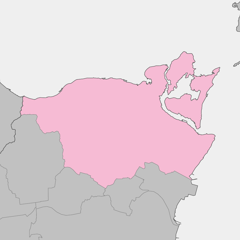 鳴門市