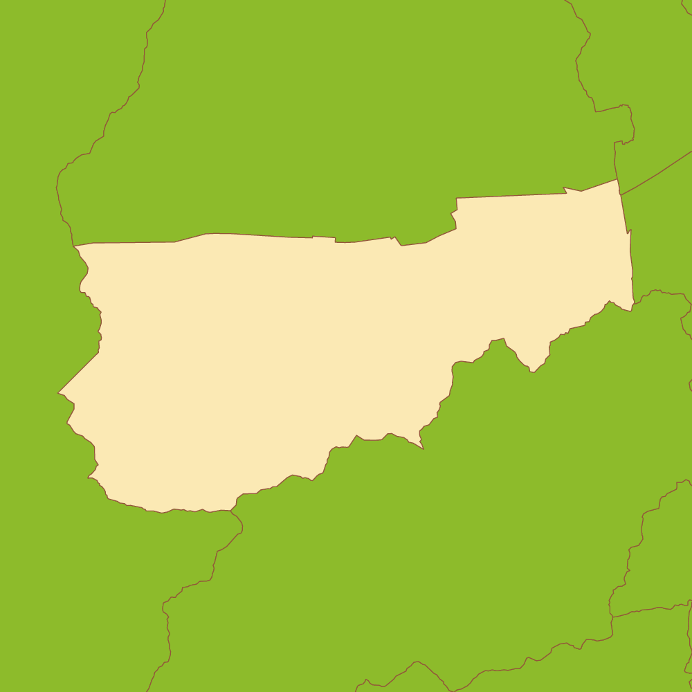 吉野川市